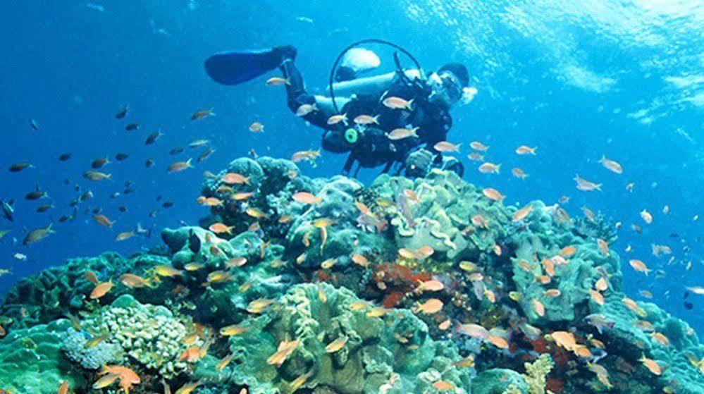 Bajo Komodo Eco Lodge Labuan Bajo Εξωτερικό φωτογραφία